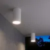 Уличный потолочный светильник Elektrostandard Light 4690389175893 4690389175893 - 2