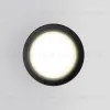 Уличный потолочный светильник Elektrostandard Light 4690389175909 4690389175909 - 2