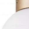 Потолочный светильник Lightstar Globo 812013 812013 - 3