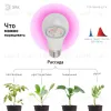 Фитолампа для растений светодиодная ЭРА E27 10W 1310K FITO-10W-RB-E27-K Б0039069 Б0039069 - 3