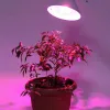 Фитолампа для растений светодиодная ЭРА E27 12W 1310K FITO-12W-RB-E27-K Б0039070 Б0039070 - 3