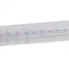 Фитолампа для растений светодиодная ЭРА G13 9W 1200K FITO-9W-RB-Т8-G13-NL Б0042986 Б0042986 - 1