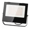 Фитопрожектор для растений ЭРА FITO-100W-RB-LED Б0046369 Б0046369 - 1