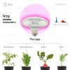 Фитолампа для растений светодиодная ЭРА E27 18W 2370K FITO-18W-RB-E27 Б0049533 Б0049533 - 3