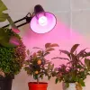 Фитолампа для растений светодиодная ЭРА E27 12W 1300K FITO-12W-RB-E27 Б0050601 Б0050601 - 2