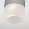 Уличный потолочный светильник Elektrostandard Light LED 4690389177934 4690389177934 - 2