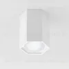 Накладной светодиодный светильник Elektrostandard 25037/LED 4690389176500 4690389176500 - 1