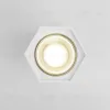 Накладной светодиодный светильник Elektrostandard 25036/LED 4690389176487 4690389176487 - 2