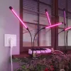Розетка Wi-Fi Werkel белый W1171601 4690389176067 4690389176067 - 2