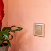 Выключатель одноклавишный проходной Werkel шампань рифленый W1112010 4690389160066 4690389160066 - 2