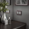 Сенсорный выключатель одноклавишный с функцией Wi-Fi Werkel серебряный W4510606 4690389149825 4690389149825 - 3
