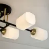 Потолочная люстра Citilux Генри CL130265 CL130265 - 12