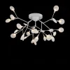 Потолочная люстра Freya Florencia FR5049CL-27W1 FR5049CL-27W1 - 3