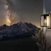 Уличный настенный светильник Eglo Budrone 900289 900289 - 2