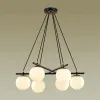 Подвесная люстра Lumion Randi 5212/6 5212/6 - 2
