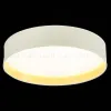 Потолочный светодиодный светильник Evoluce Brescia SLE300552-01 SLE300552-01 - 3
