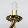 Подвесная люстра Abrasax Sylvia L.8110-5YB L.8110-5YB - 3