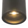 Уличный потолочный светильник Maytoni Bar O306CL-L7GF O306CL-L7GF - 7