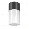 Уличный потолочный светильник Maytoni Willis O418CL-01B O418CL-01B - 1