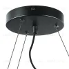 Подвесная люстра Lightstar Roma 718097 718097 - 2