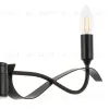 Люстра на штанге Lightstar Ragno 733267 733267 - 5