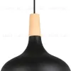 Подвесной светильник Eglo Sabinar 900162 900162 - 4