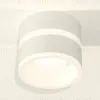 Потолочный светильник Ambrella Light Techno Spot XS8101019 (C8101, N8444) XS8101019 - 3