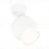 Спот Ambrella Light Techno Spot XM1101016 (A2202, C1101, N7160) XM1101016 - 1