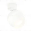 Спот Ambrella Light Techno Spot XM1101017 (A2202, C1101, N7165) XM1101017 - 1