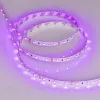 Светодиодная лента Arlight RT-A60-8mm 12V Pink (4.8 W/m, IP20, 2835, 5m) 013571(2) 013571(2) - 1