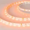 Светодиодная лента Arlight RT-A60-8mm 12V Orange (4.8 W/m, IP20, 2835, 5m) 013568(2) 013568(2) - 1