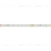 Светодиодная лента Arlight RT-A80-8mm 24V Warm3000 (6 W/m, IP20, 2835, 50m) 024525(2) 024525(2) - 3