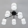 Потолочная люстра Citilux Нильс CL132165 CL132165 - 12