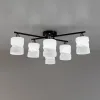 Потолочная люстра Citilux Нильс CL132165 CL132165 - 23