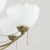 Подвесная люстра Citilux Франческа CL417263 CL417263 - 14