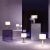 Настольная лампа Maytoni Bianco Z030TL-01BS Z030TL-01BS - 5