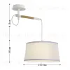 Настенно-потолочный светильник F-Promo Eureka 3005-1P 3005-1P - 9