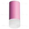 Накладной светильник Lightstar Rullo R43231 (214432+202431) R43231 - 1