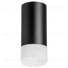 Накладной светильник Lightstar Rullo R43731 (214437+202431) R43731 - 1