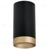 Накладной светильник Lightstar Rullo R43740 (214437+203440) R43740 - 1