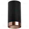 Накладной светильник Lightstar Rullo R437430 (214437+203430) R437430 - 1