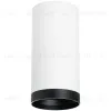 Накладной светильник Lightstar Rullo R64863487 (216486+203487) R64863487 - 1