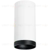 Накладной светильник Lightstar Rullo R64863487 (216486+203487) R64863487 - 2
