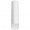 Накладной светильник Lightstar Rullo R649681 (216496+202481) R649681 - 1