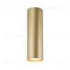 Накладной светильник Denkirs Tube DK2052-SG DK2052-SG - 2