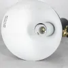 Торшер Lussole LSP-0626 LSP-0626 - 3