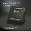 Умное двухканальное реле Elektrostandard 4690389185083 a059326 4690389185083 - 10