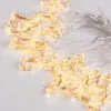 Гирлянда Eurosvet 200-006 200-006 теплый белый 2*2,6м IP20 a060422 200-006 теплый белый 2*2,6м  IP20 - 2
