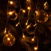 Гирлянда Eurosvet 100-001 100-001 теплый белый 1,8*0,5м IP20 a060410 100-001 теплый белый 1,8*0,5м IP20 - 2