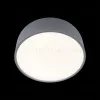 Потолочный светильник Loft IT Axel 10201/350 Grey 10201/350 Grey - 4
